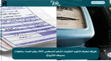 طريقة معرفة فاتورة الكهرباء لشهر أغسطس 2025 برقم العداد بخطوات بسيطة إلكترونيًا